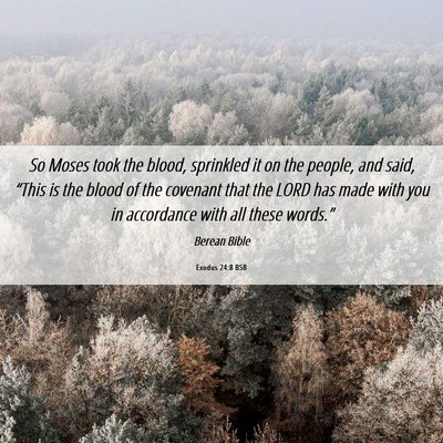 Picture 06 - Exodus 24:8 BSB - So Moses took the blood, sprinkled it on the - Bible Verse Picture