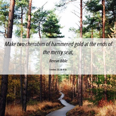 Picture 06 - Exodus 25:18 BSB - Make two cherubim of hammered gold at the ends of - Bible Verse Picture