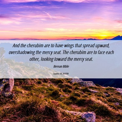 Picture 06 - Exodus 25:20 BSB - And the cherubim are to have wings that spread - Bible Verse Picture
