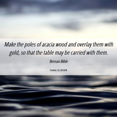Picture 06 - Exodus 25:28 BSB - Make the poles of acacia wood and overlay them - Bible Verse Picture