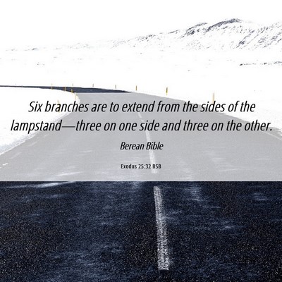 Picture 06 - Exodus 25:32 BSB - Six branches are to extend from the sides of the - Bible Verse Picture