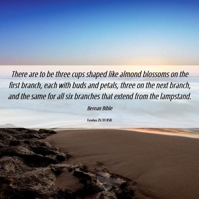 Picture 06 - Exodus 25:33 BSB - There are to be three cups shaped like almond - Bible Verse Picture