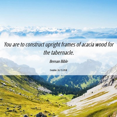 Picture 06 - Exodus 26:15 BSB - You are to construct upright frames of acacia - Bible Verse Picture