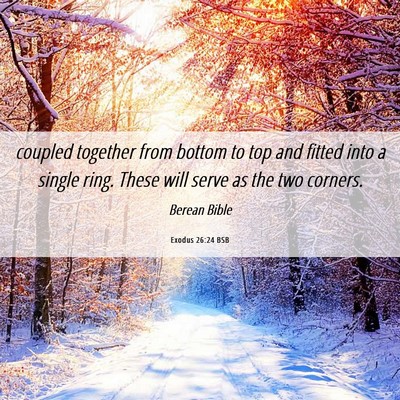 Picture 06 - Exodus 26:24 BSB - coupled together from bottom to top and fitted - Bible Verse Picture