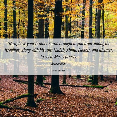 Picture 06 - Exodus 28:1 BSB - “Next, have your brother Aaron brought to you - Bible Verse Picture