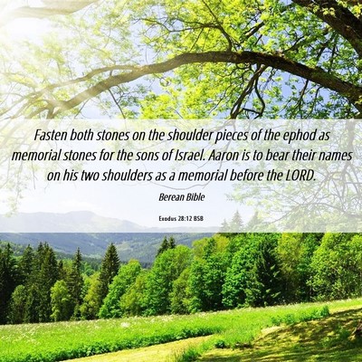 Picture 06 - Exodus 28:12 BSB - Fasten both stones on the shoulder pieces of the - Bible Verse Picture