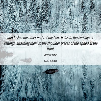 Picture 06 - Exodus 28:25 BSB - and fasten the other ends of the two chains to - Bible Verse Picture