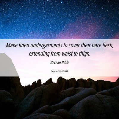 Picture 06 - Exodus 28:42 BSB - Make linen undergarments to cover their bare - Bible Verse Picture