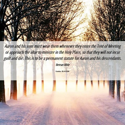 Picture 06 - Exodus 28:43 BSB - Aaron and his sons must wear them whenever they - Bible Verse Picture