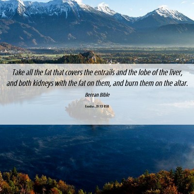 Picture 06 - Exodus 29:13 BSB - Take all the fat that covers the entrails and the - Bible Verse Picture