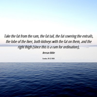 Picture 06 - Exodus 29:22 BSB - Take the fat from the ram, the fat tail, the fat - Bible Verse Picture