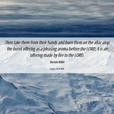 Picture 06 - Exodus 29:25 BSB - Then take them from their hands and burn them on - Bible Verse Picture