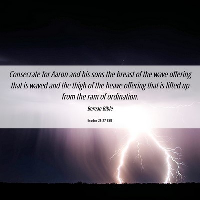 Picture 06 - Exodus 29:27 BSB - Consecrate for Aaron and his sons the breast of - Bible Verse Picture