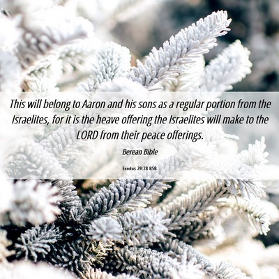 Picture 06 - Exodus 29:28 BSB - This will belong to Aaron and his sons as a - Bible Verse Picture