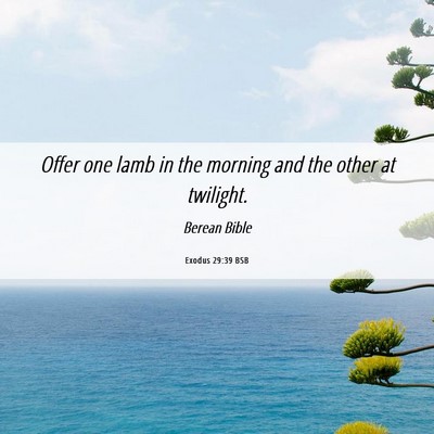 Picture 06 - Exodus 29:39 BSB - Offer one lamb in the morning and the other at - Bible Verse Picture