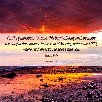 Picture 06 - Exodus 29:42 BSB - For the generations to come, this burnt offering - Bible Verse Picture