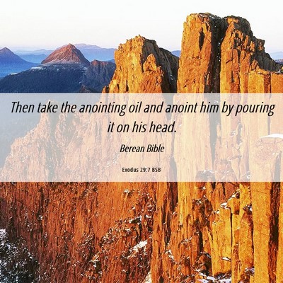 Picture 06 - Exodus 29:7 BSB - Then take the anointing oil and anoint him by - Bible Verse Picture