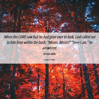 Picture 06 - Exodus 3:4 BSB - When the LORD saw that he had gone over to look, - Bible Verse Picture