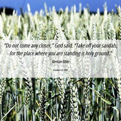 Picture 06 - Exodus 3:5 BSB - “Do not come any closer,” God said. “Take - Bible Verse Picture