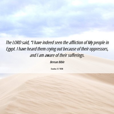 Picture 06 - Exodus 3:7 BSB - The LORD said, “I have indeed seen the - Bible Verse Picture