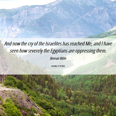 Picture 06 - Exodus 3:9 BSB - And now the cry of the Israelites has reached Me, - Bible Verse Picture