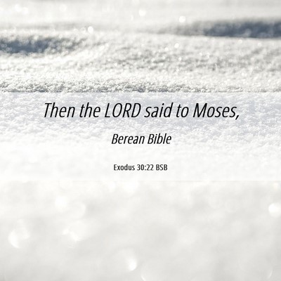 Picture 06 - Exodus 30:22 BSB - Then the LORD said to - Bible Verse Picture