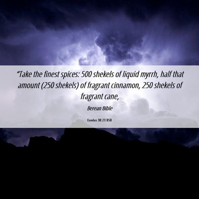 Picture 06 - Exodus 30:23 BSB - “Take the finest spices: 500 shekels of liquid - Bible Verse Picture