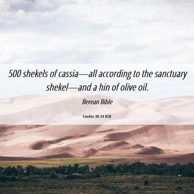 Picture 06 - Exodus 30:24 BSB - 500 shekels of cassia—all according to the - Bible Verse Picture