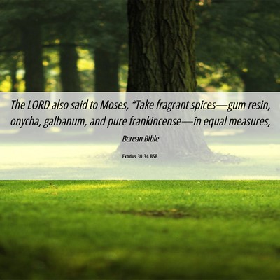 Picture 06 - Exodus 30:34 BSB - The LORD also said to Moses, “Take fragrant - Bible Verse Picture