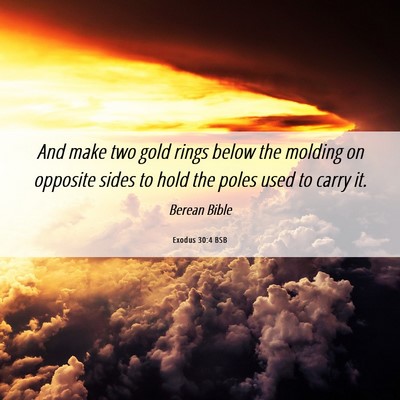 Picture 06 - Exodus 30:4 BSB - And make two gold rings below the molding on - Bible Verse Picture