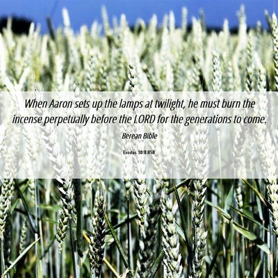 Picture 06 - Exodus 30:8 BSB - When Aaron sets up the lamps at twilight, he must - Bible Verse Picture