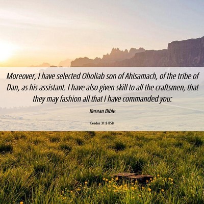 Picture 06 - Exodus 31:6 BSB - Moreover, I have selected Oholiab son of - Bible Verse Picture