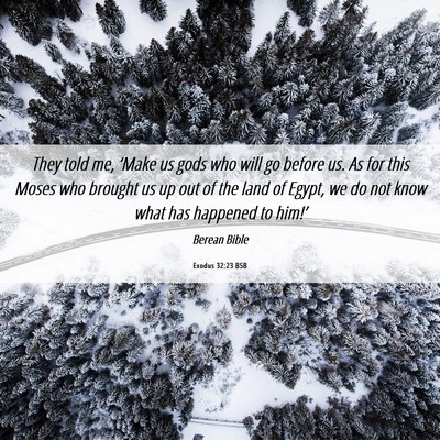 Picture 06 - Exodus 32:23 BSB - They told me, ‘Make us gods who will go before - Bible Verse Picture