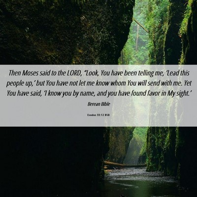 Picture 06 - Exodus 33:12 BSB - Then Moses said to the LORD, “Look, You have - Bible Verse Picture