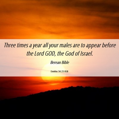 Picture 06 - Exodus 34:23 BSB - Three times a year all your males are to appear - Bible Verse Picture