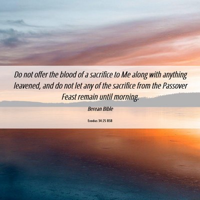 Picture 06 - Exodus 34:25 BSB - Do not offer the blood of a sacrifice to Me along - Bible Verse Picture