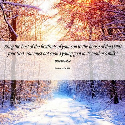 Picture 06 - Exodus 34:26 BSB - Bring the best of the firstfruits of your soil to - Bible Verse Picture