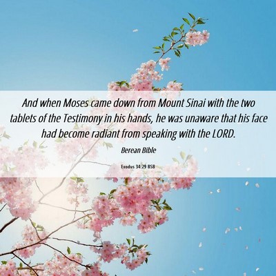 Picture 06 - Exodus 34:29 BSB - And when Moses came down from Mount Sinai with - Bible Verse Picture