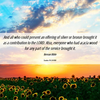Picture 06 - Exodus 35:24 BSB - And all who could present an offering of silver - Bible Verse Picture