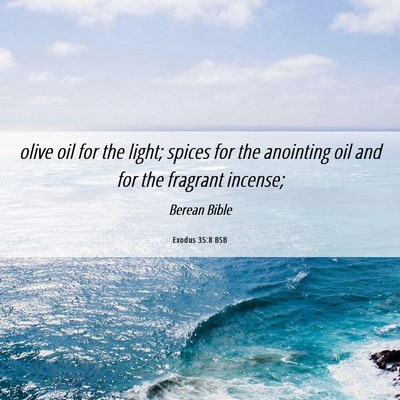 Picture 06 - Exodus 35:8 BSB - olive oil for the light; spices for the anointing - Bible Verse Picture
