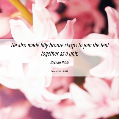 Picture 06 - Exodus 36:18 BSB - He also made fifty bronze clasps to join the tent - Bible Verse Picture