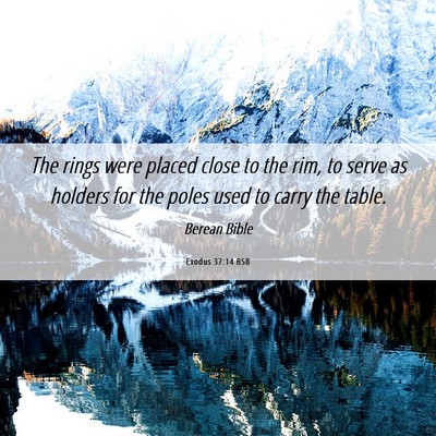 Picture 06 - Exodus 37:14 BSB - The rings were placed close to the rim, to serve - Bible Verse Picture