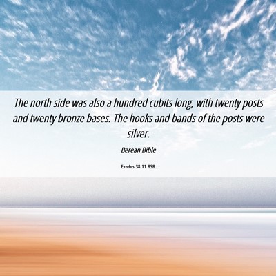 Picture 06 - Exodus 38:11 BSB - The north side was also a hundred cubits long, - Bible Verse Picture