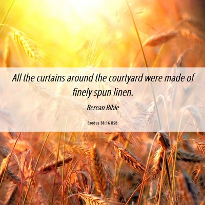 Picture 06 - Exodus 38:16 BSB - All the curtains around the courtyard were made - Bible Verse Picture