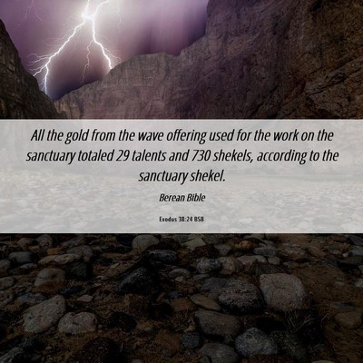 Picture 06 - Exodus 38:24 BSB - All the gold from the wave offering used for the - Bible Verse Picture