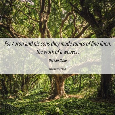 Picture 06 - Exodus 39:27 BSB - For Aaron and his sons they made tunics of fine - Bible Verse Picture