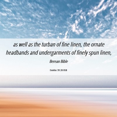 Picture 06 - Exodus 39:28 BSB - as well as the turban of fine linen, the ornate - Bible Verse Picture