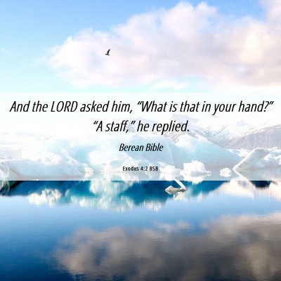 Picture 06 - Exodus 4:2 BSB - And the LORD asked him, “What is that in your - Bible Verse Picture