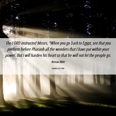 Picture 06 - Exodus 4:21 BSB - The LORD instructed Moses, “When you go back to - Bible Verse Picture