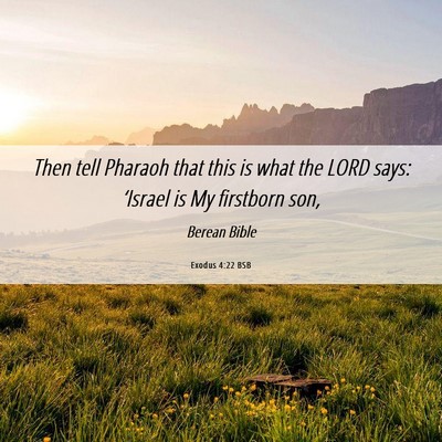 Picture 06 - Exodus 4:22 BSB - Then tell Pharaoh that this is what the LORD - Bible Verse Picture